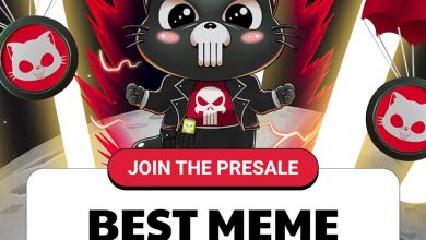 best-meme-coins-to-buy-today?-punisher-coin-captures-attention-from-shib-and-wif-whales!