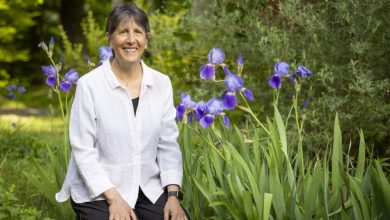 ethics-in-the-age-of-ai:-how-dayna-guido-is-helping-mental-health-professionals-stay-human