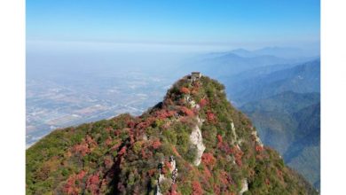 autumn-in-china-is-seriously-underrated:-4-stunning-destinations-to-see