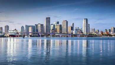 top-3-digital-marketing-agencies-in-florida